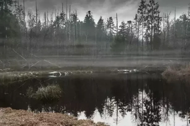 The-Surprising-Spike-Arctic-Marshlands-Emerge-as-Surprising-Climate-Culprit