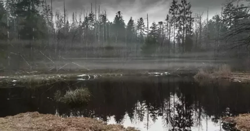 The-Surprising-Spike-Arctic-Marshlands-Emerge-as-Surprising-Climate-Culprit